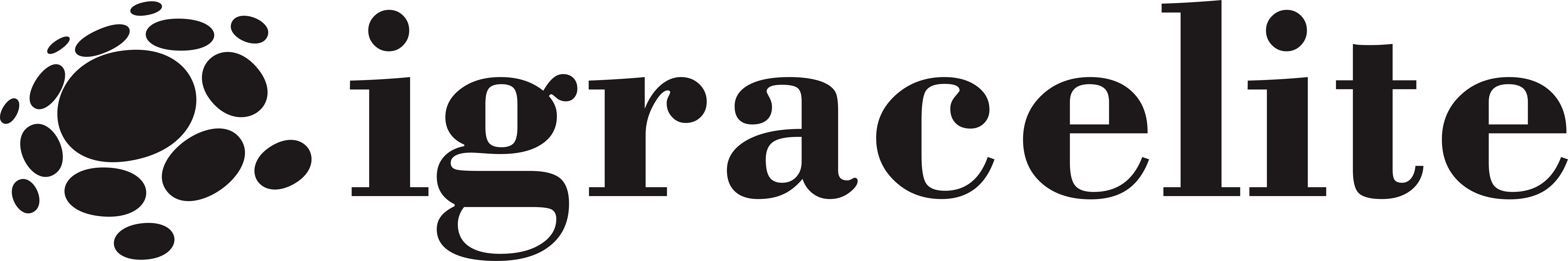 igracelite logo igracelite logo