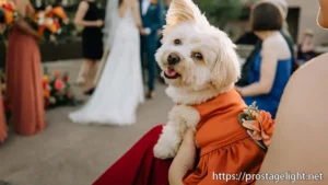 wedding palanner Chic Celebrations by Lisa (12) wedding palanner Chic Celebrations by Lisa (12)