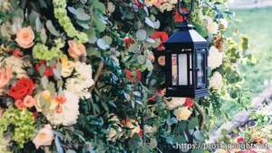 wedding palanner Dream Weddings with Kate (11) wedding palanner Dream Weddings with Kate (11)