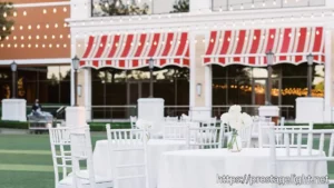 wedding palanner Dream Weddings with Kate (6) wedding palanner Dream Weddings with Kate (6)