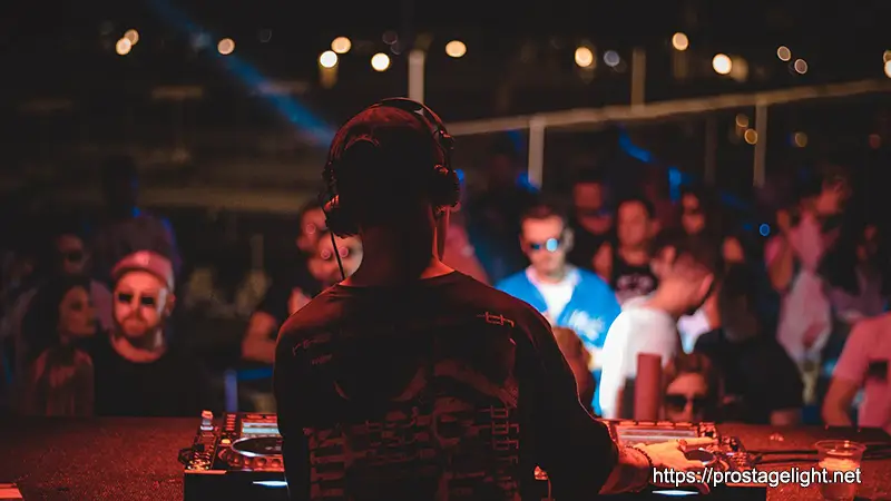 DJ Party Animal